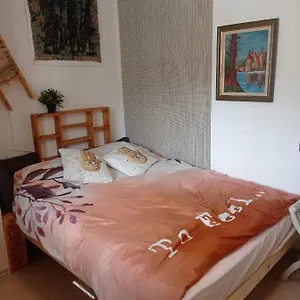 New! Great Location! Vibrant Downtown, Talpiot Market, Flea Market, Carmel Beach, Close To Everywhere Проживание в семье Хайфа